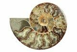Cut & Polished, Agatized Ammonite Fossil - Madagascar #240988-1